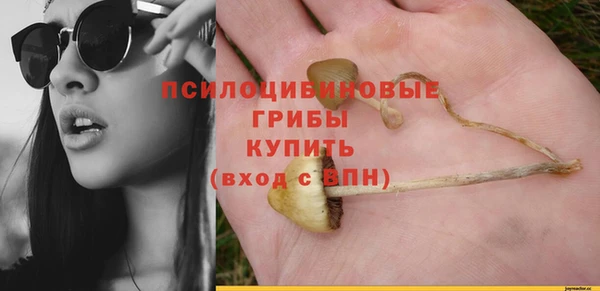 прущие крисы Кохма