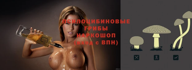 синтетический гашиш Медвежьегорск