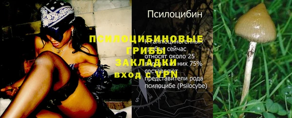 синтетический гашиш Медвежьегорск