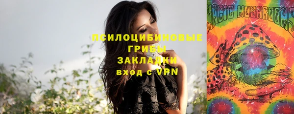 МДПВ Мегион